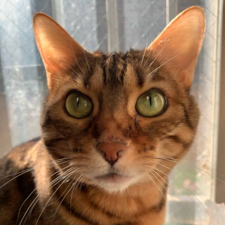 E961971d 1ae4 4ecc bdb6 a6c511983bf5 1619997349673