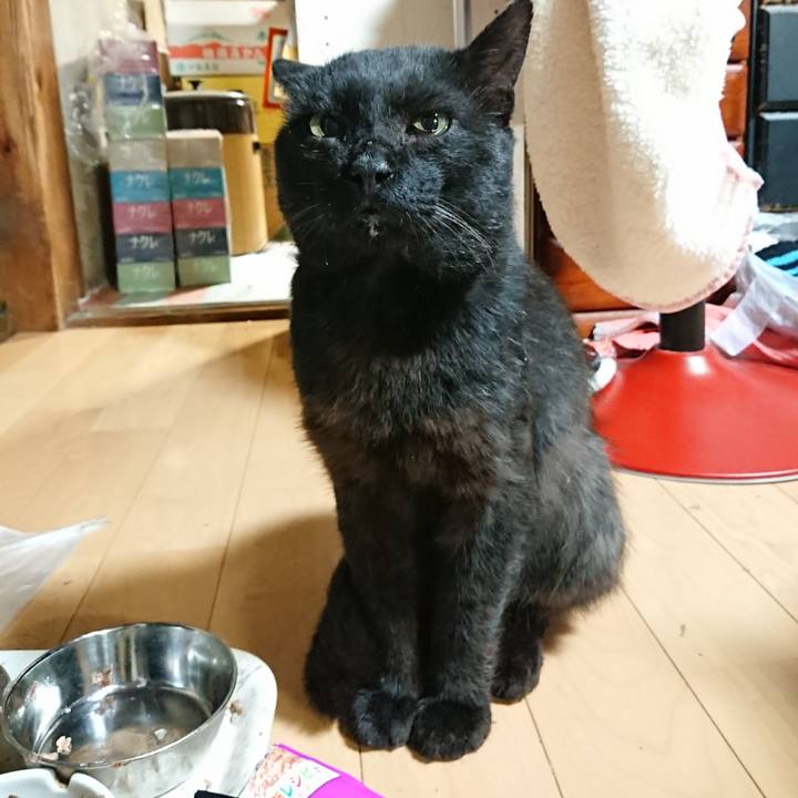 E9619f91 c76b 4eb3 83b0 817eb9ac0d32 1625919273985