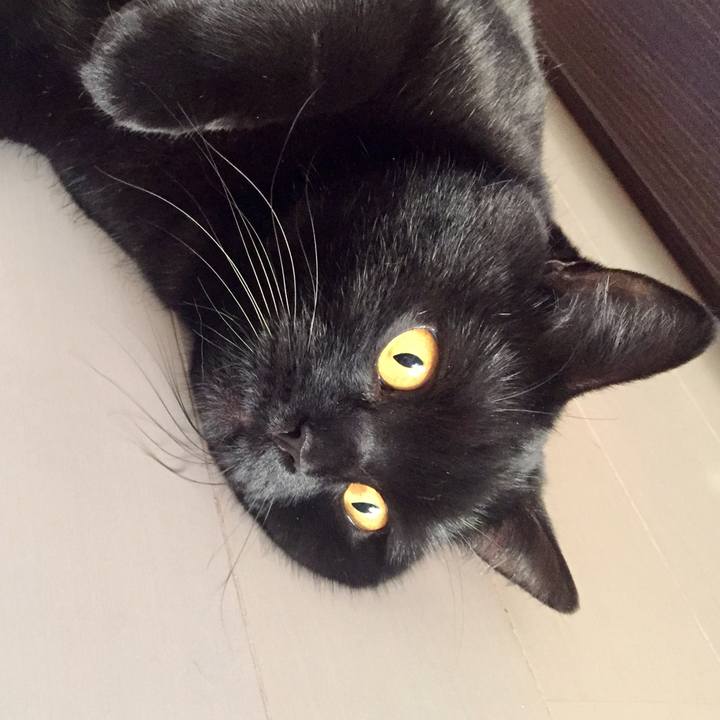 E961bd3c bc46 4d37 aad5 915d1fd643e5 1552255851584