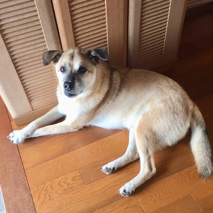 E961c283 05fc 4adc 9dcc 3171d9d447c9 1531799006461