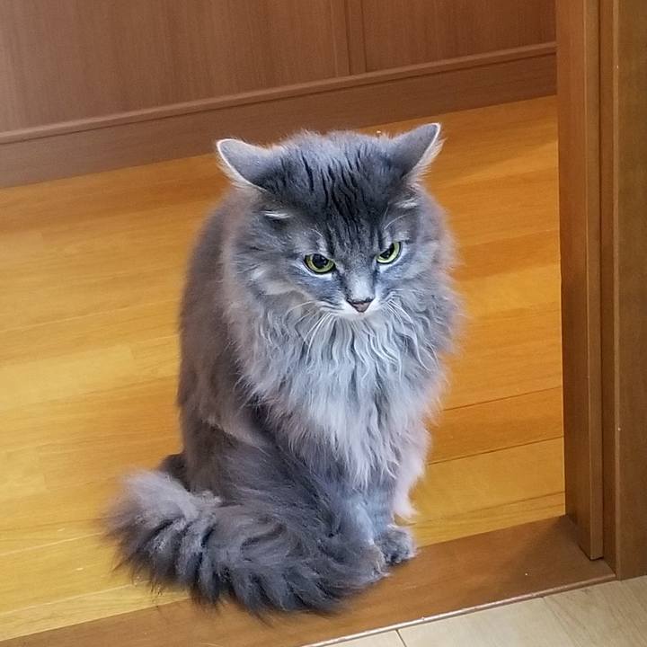 E961c3a7 e000 4fb4 8c94 352783ef1e7c 1571961832817