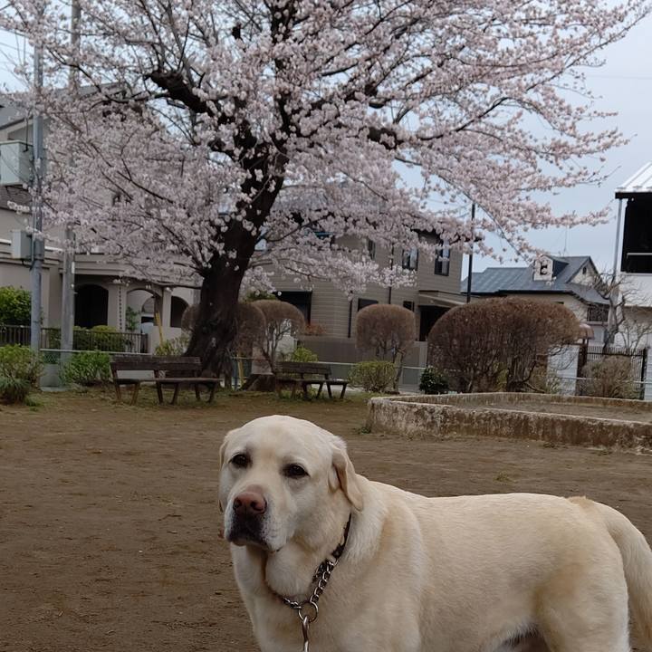 E961cd56 5b93 48e8 a73f 305375ab8891 1648517793281