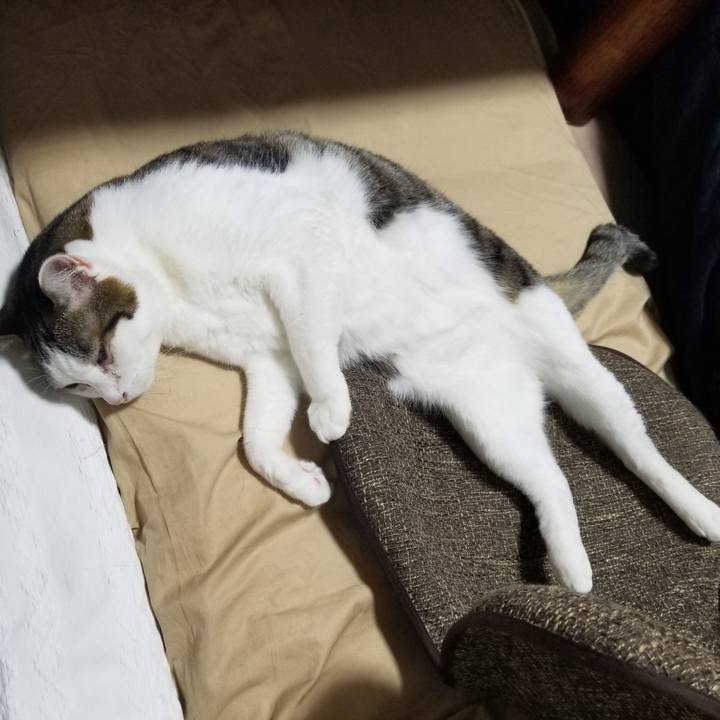 E961dc6e 0fc4 43bb a95c de1c881864d6 1616411429194