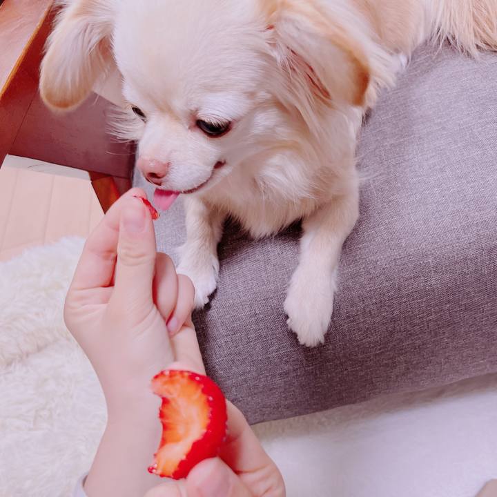 E961fea1 b0b2 45ce 984d e87a0e643532 1680603405427