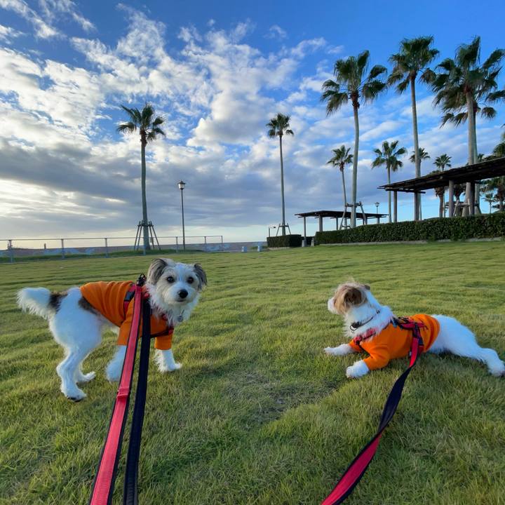 E9621b02 38aa 4076 a740 a8a1883ed083 1758666938818