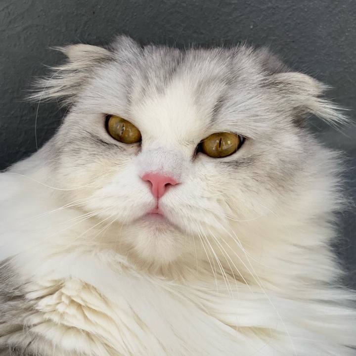 E96251ec f386 4015 88ea e0a4f7f5b985 1664610779583