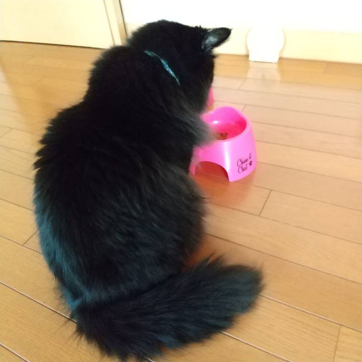 E96264ac f113 456c a2d2 947ab79a1858 1604875986849