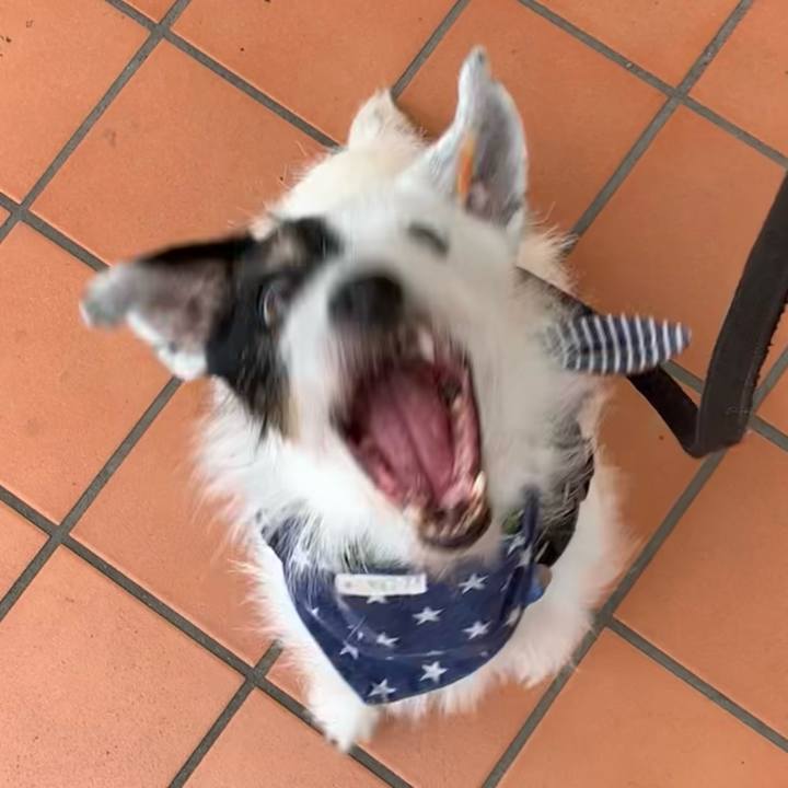 E9626795 c94a 42fb af30 757126cf70a6 1724751140483