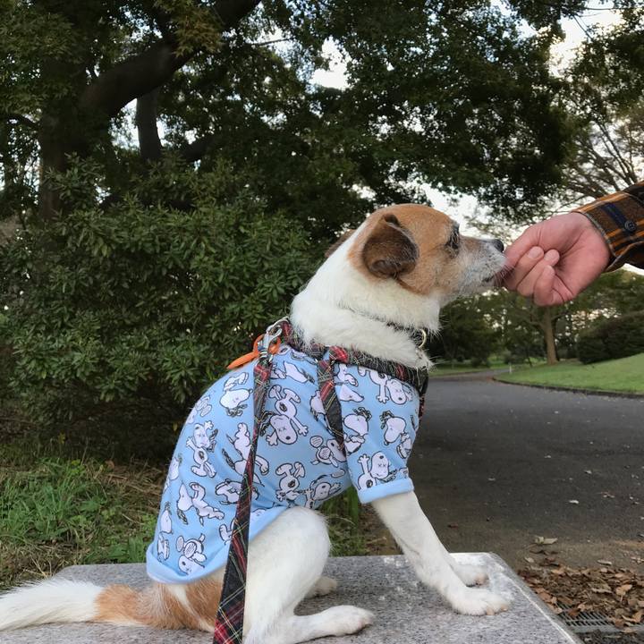 E9627f8a 6490 4d20 8b32 6485a115ee42 1572160826941