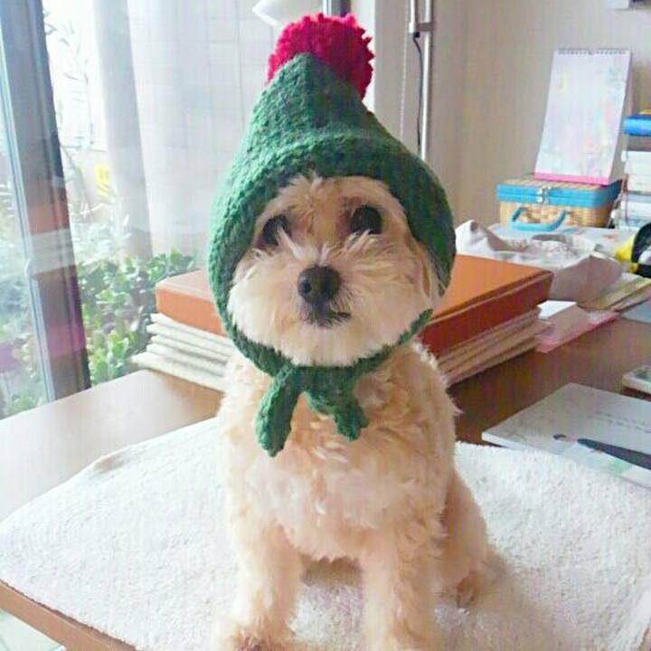 E96280be bb19 4867 88a4 fbbac2ee11d6 1728858075327