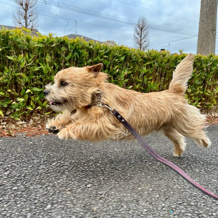 E96325e6 34ed 4eab 926b a5ace852fb33 1743475581119