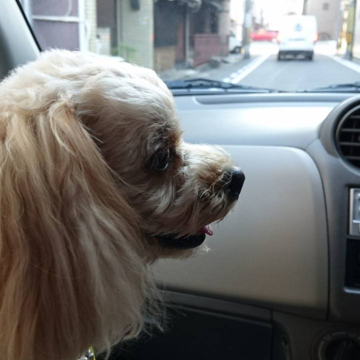 E96337eb 0525 4437 9968 aba5393e32de 1509882237649