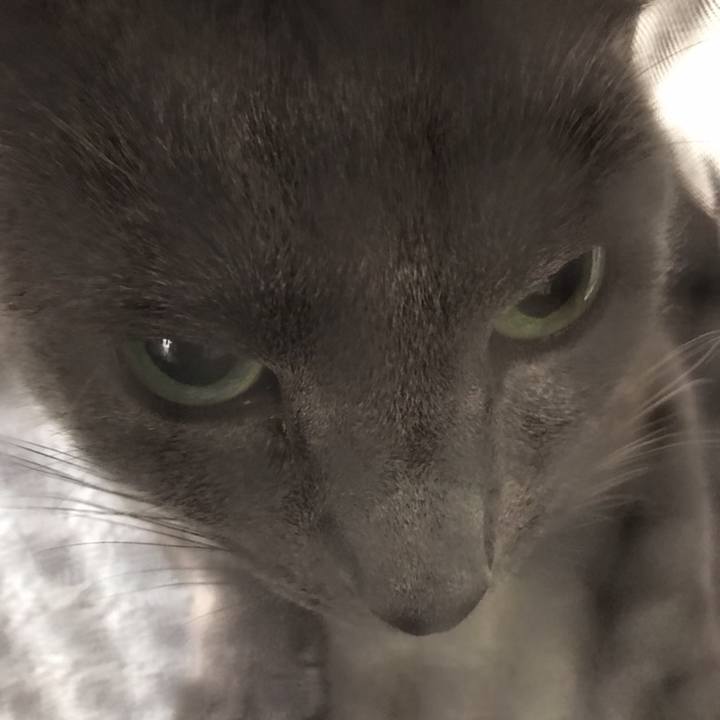 E9633913 cacd 4fc1 ab80 8b194848d911 1558311055311