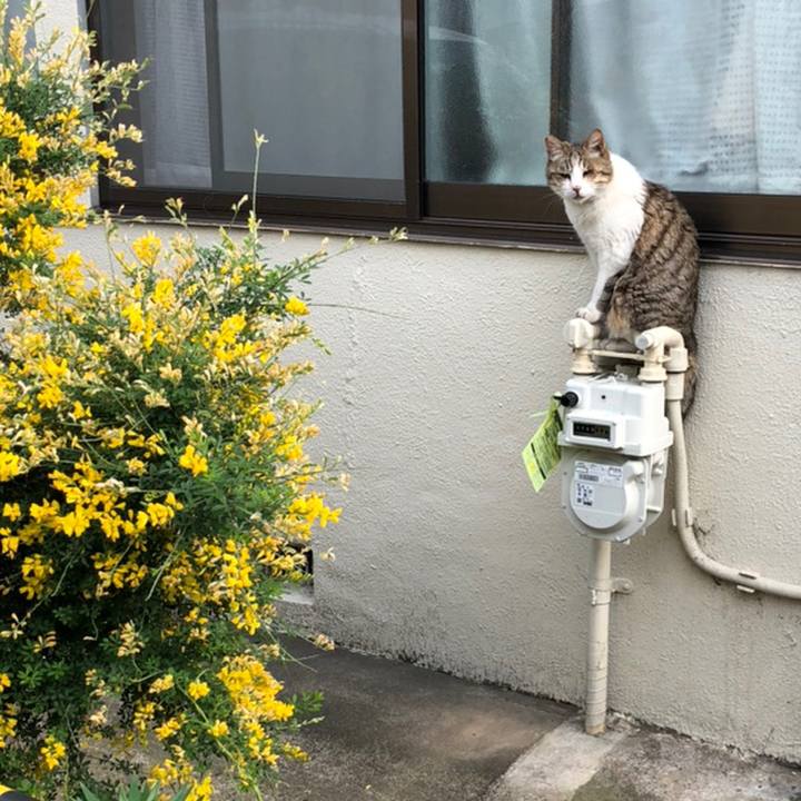 E9635d0f 4e52 4507 a4a2 ff73e5398a5b 1558188958637