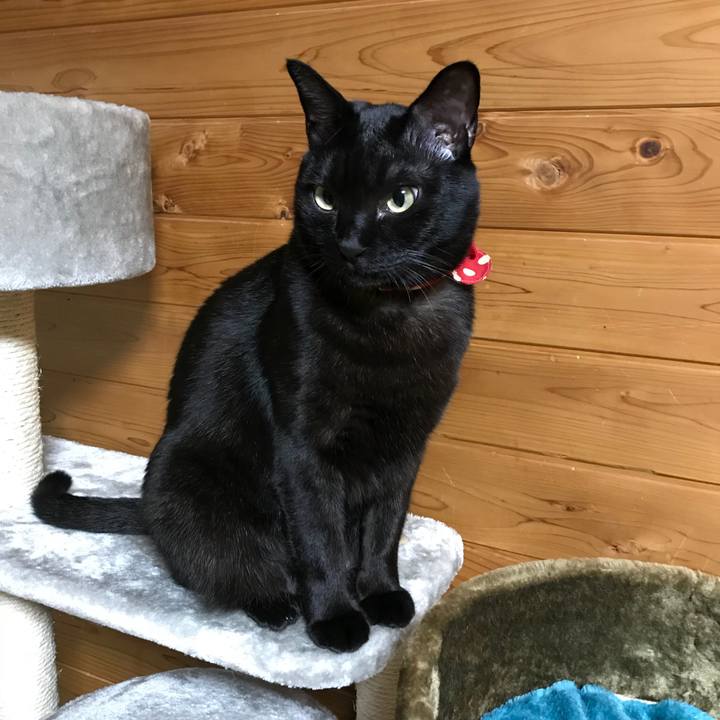 E96390db c008 4723 9df2 b85e2b1a5286 1518183442500