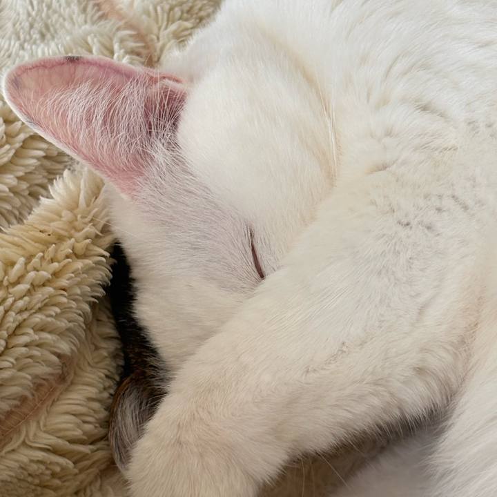 E963a848 cdfa 4f15 8f91 e23c7c4f50dd 1740786125776