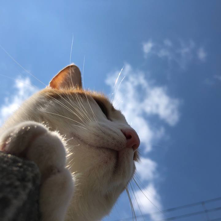 E963c086 cc01 4cea 9960 312a579e108d 1552788851405