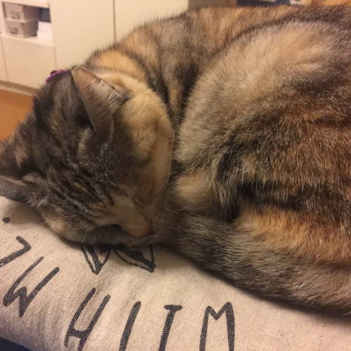 E963cf78 c59b 4955 ae1f b41516d3b6f6 1547391998009