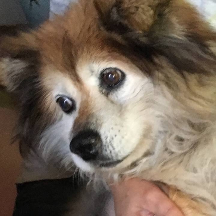 E963d9ef 80f0 4d1a ad1e fda6328f0c17 1574471528966