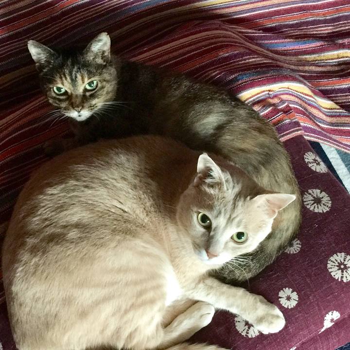 E964109a bdea 4251 a396 617ae5d7f339 1606394558452