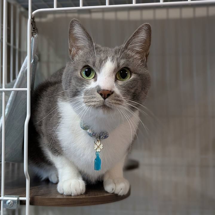 E964524a 79de 40ff 82fa d46ef7714582 1736584556696