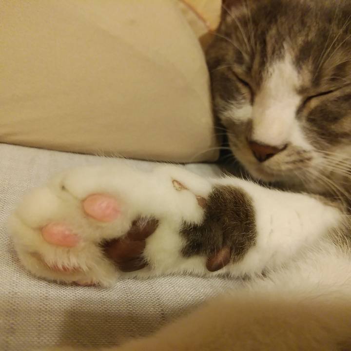 E964afd3 8fa5 4891 a546 83ab794701a9 1588340617958