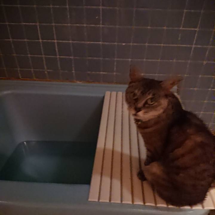 E964c282 a593 4fb7 aca3 78c261245b78 1568542799570