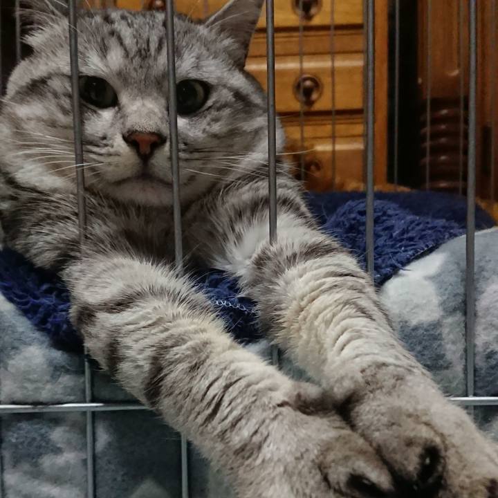 E964d731 6a7c 4107 824a 6c9f44db8601 1515117132454