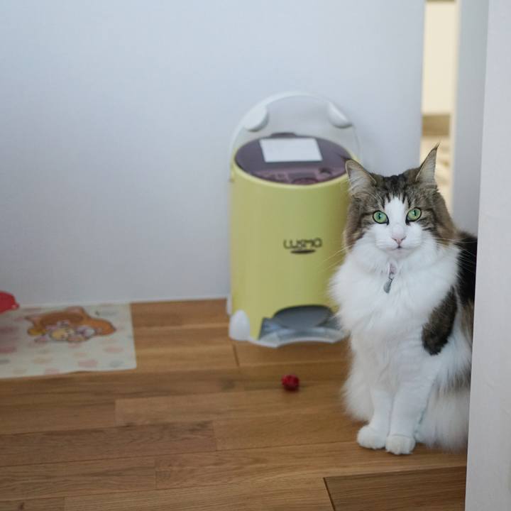 E964fe91 7586 40f2 bafd 0332257f9de7 1577153571898