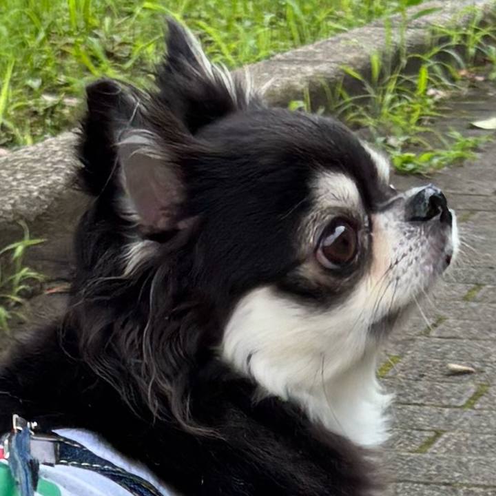 E965148c 5529 4f15 814d 7c17bd2e0030 1752281004805