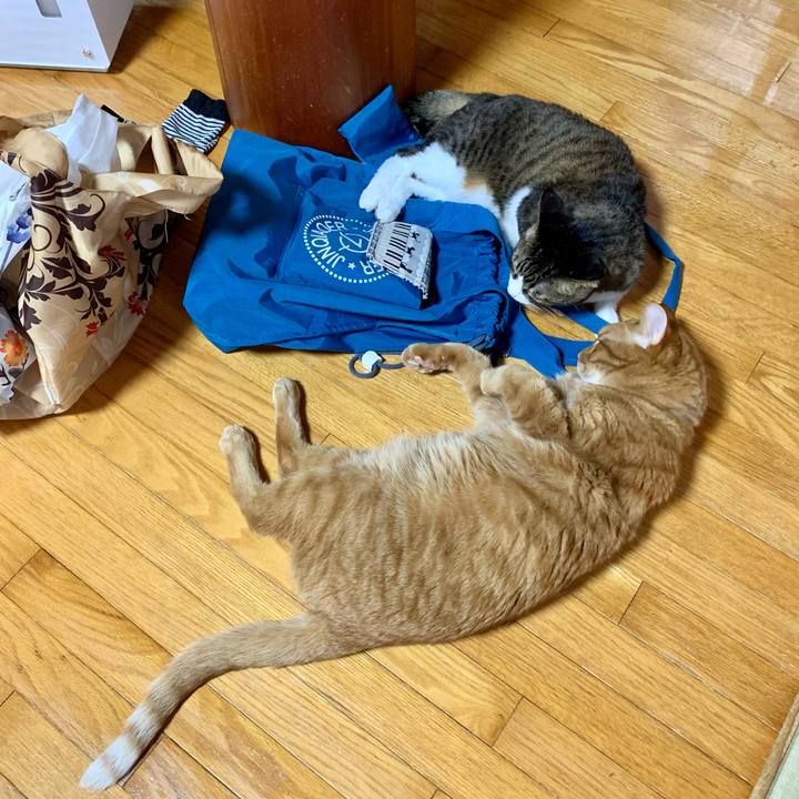 E9651852 9498 407b a7d9 453012ea3167 1618811908812