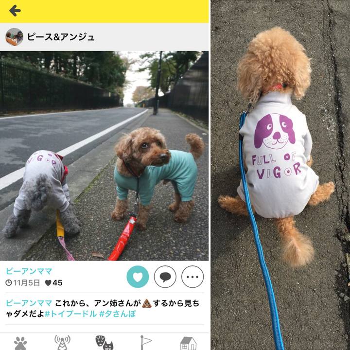 E9654403 1f96 4915 8003 0813e36cdb42 1541516400958