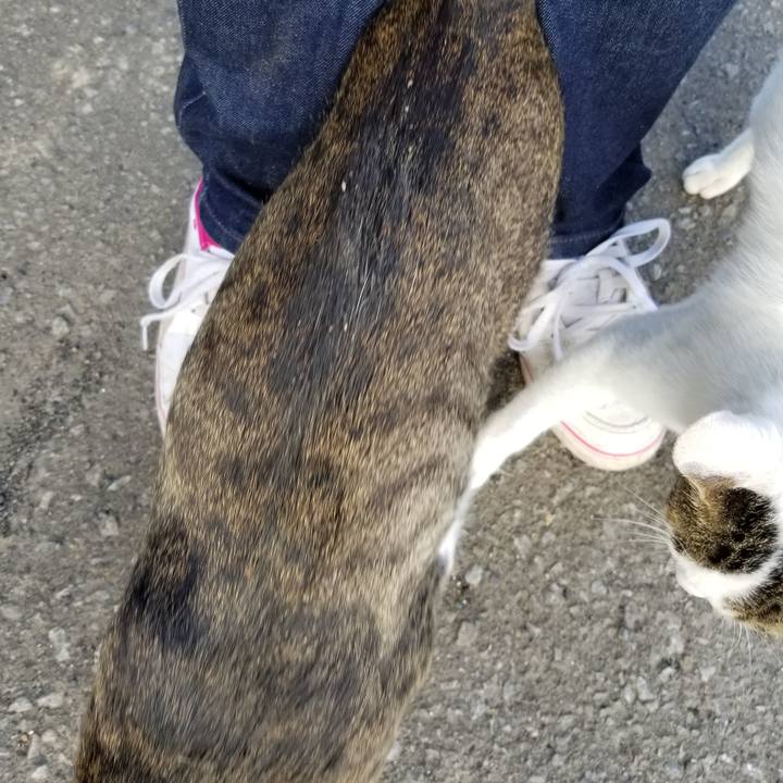 E9654478 6add 4dcf a075 0a9ef813e0c3 1603105648984