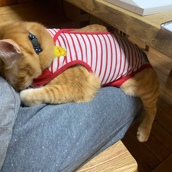 E965532a c73b 4b51 bed0 985f0b704fe5 1581835239059