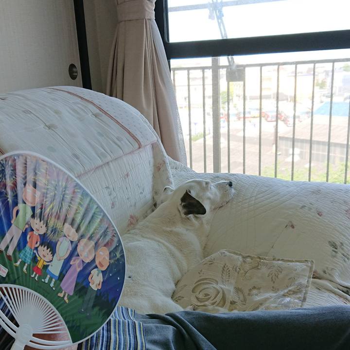 E9658db4 c110 4106 a152 455edff909b2 1597582000141