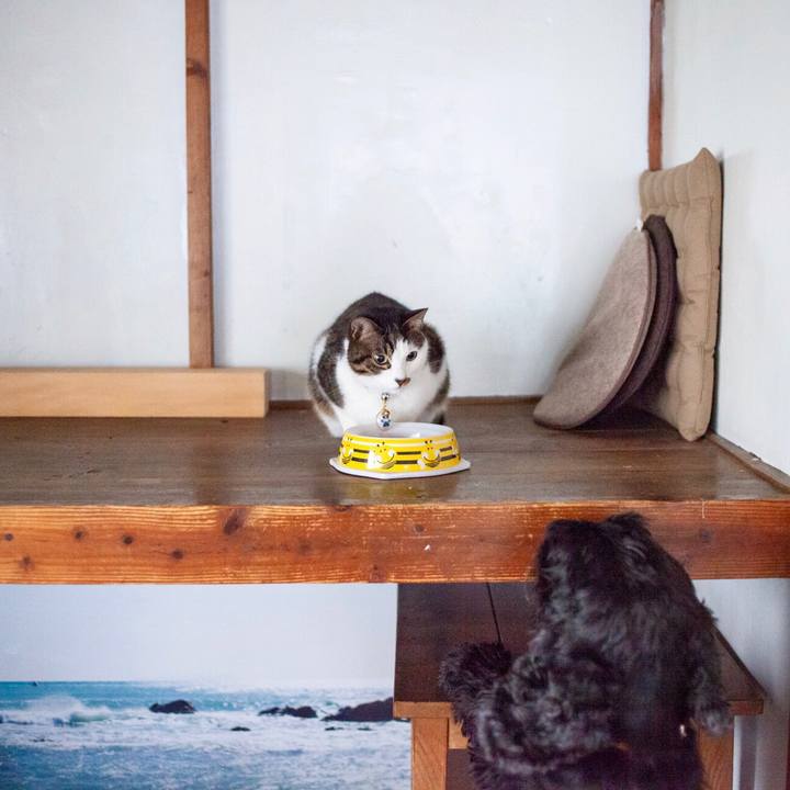 E9659dd0 cbc2 4719 93e9 d75905c551fb 1582983596003