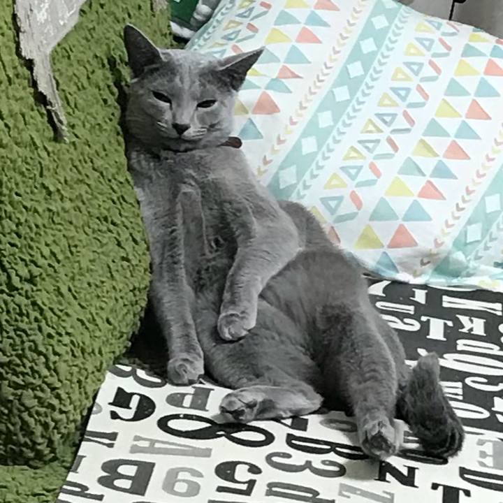 E9659efd 99a0 4d5e 9a75 1844b27ec938 1534332505609