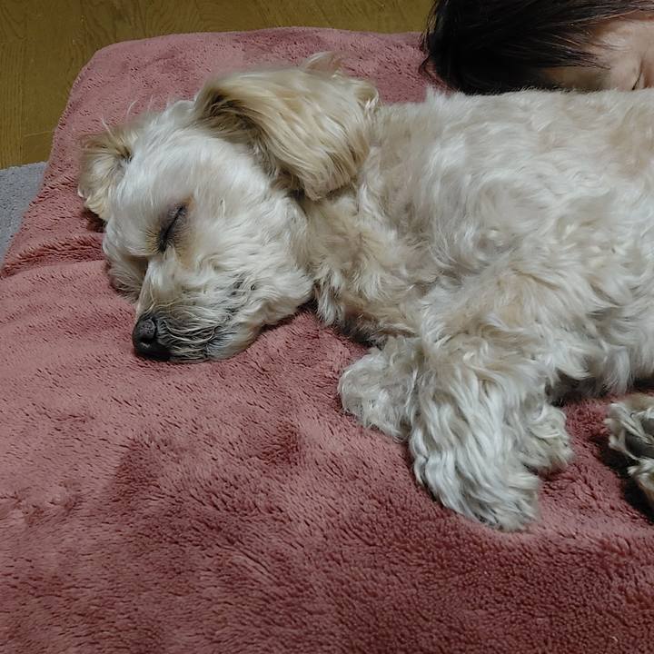 E965aa29 9b6e 43f9 85d3 107fb4f6d2cc 1644667777800