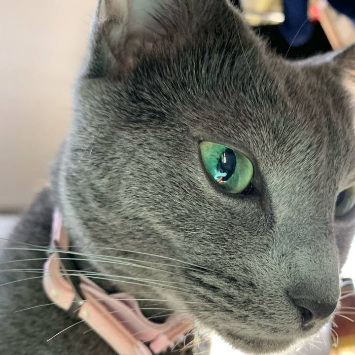 E965c03a ef5b 4325 a25f e9ff87405dab 1583578525572