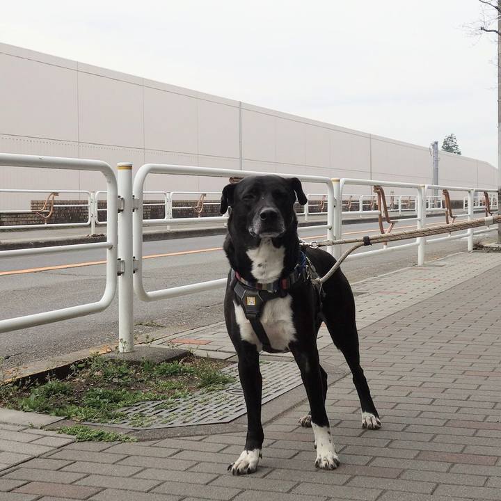 E965f190 4c20 42ce ade7 cdbcd39041af 1648256980949