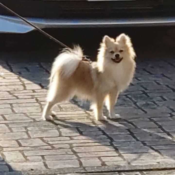 E96610eb 7edf 47f4 bdd5 689f228592e9 1757456083434