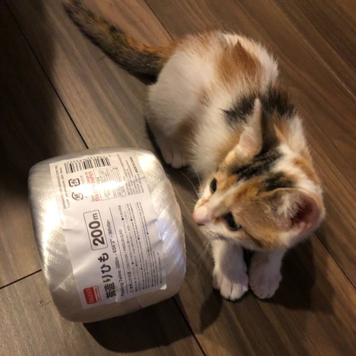 E96638a8 e576 4bbe b5ec 74719b157248 1562593036077