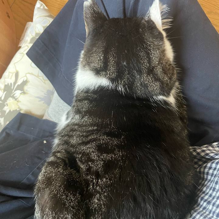 E966ee90 2d04 4ef4 9020 150d6f359ce1 1696381682926