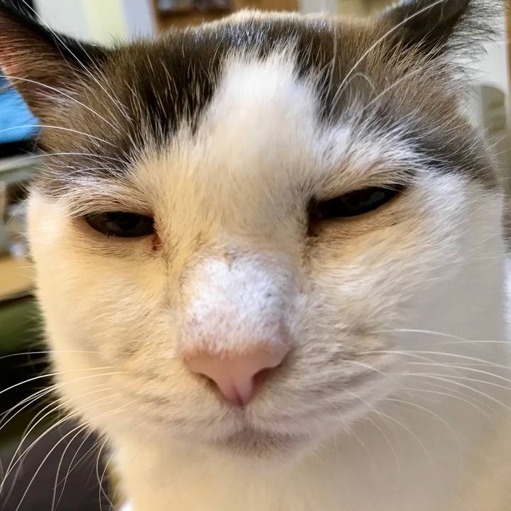 E9670153 3811 4f41 912c be45e3b52061 1565775606942