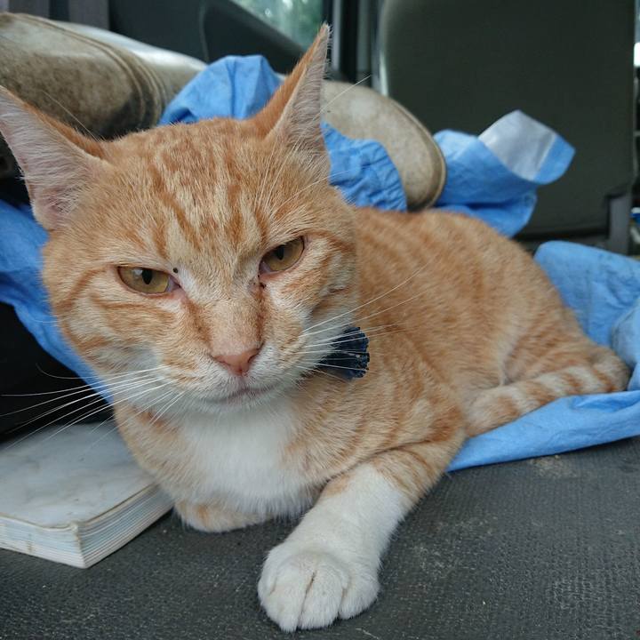 E9670f06 a864 4249 9adb 97b0307ca569 1562878456332