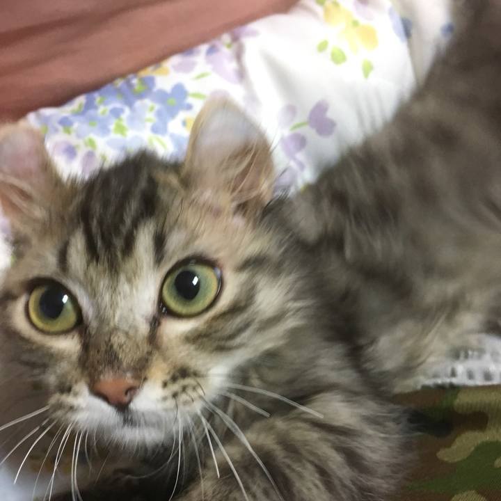 E9672941 939f 4827 b55c bea3a92bcf7d 1604975559836