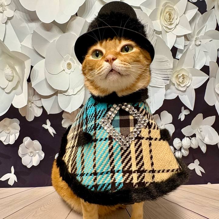 E96737fb 53b4 42af bc25 4341cbb35eb5 1769334220769