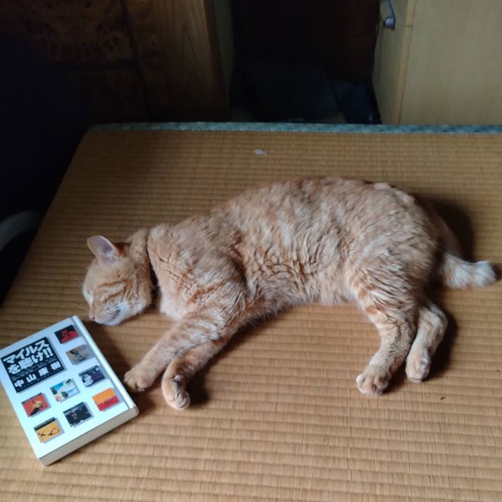 E9674328 5ca5 44a1 bbad 579611e527b2 1722233070910