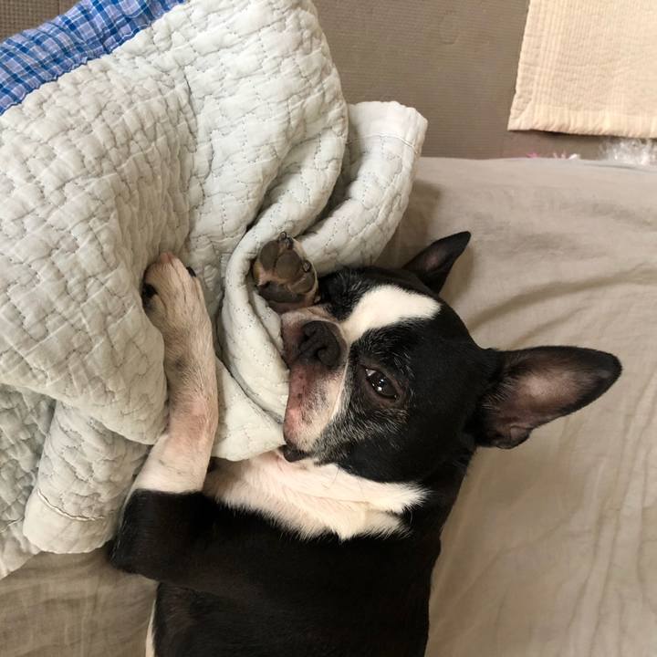 E9674e8a 79cf 41a4 bfd1 b9dcf45b6ba9 1671602348775