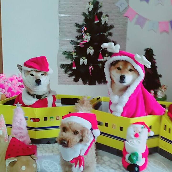 E96767a4 2d2c 46c6 91cb cbe3310ddd52 1576839845290